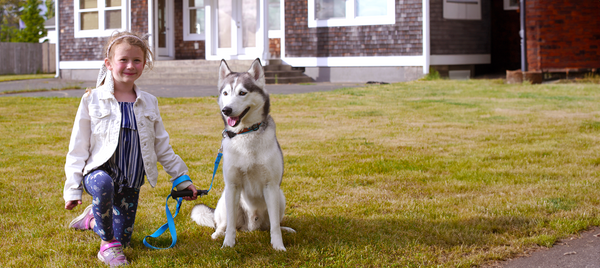 You'll discover a meticulously crafted steel latch on the opposite end of the leash. Its impeccable construction guarantees durability and ease of attachment. Whether you need to fasten it to your dog's collar or harness, the TugEase latch provides a seamless and reliable connection.