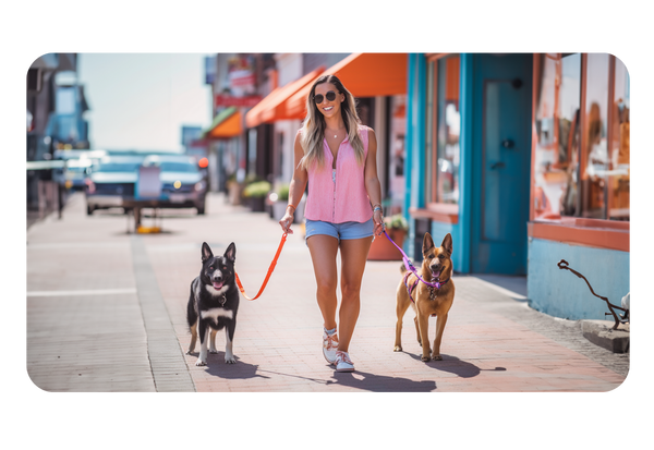 Discover the perfect fit with our TugEase Dog Leashes. Designed for comfort and adjustability, these leashes are versatile and cater to you and your furry companion's needs. A colorful array of styles ensures a seamless match to your unique preferences.